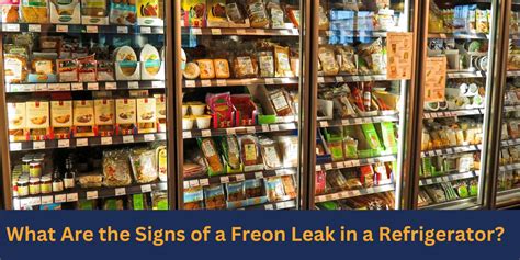 refrigerator leaking gas|Five Signs Your Refrigerator Is Leaking Freon: A。